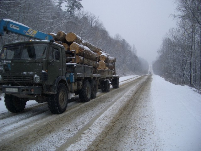 Russian timber heading south towards China