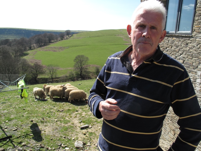 Arthur Davies with his yearling rams